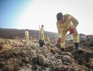 Bursa’da 3 milyon 250 bin fidan toprakla buluşacak