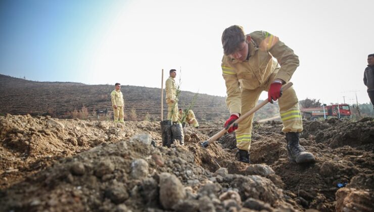 Bursa’da 3 milyon 250 bin fidan toprakla buluşacak