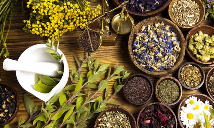 ABD, Türkiye’den Gönderilen Bazı Bitkisel Ürünleri İmha Etti