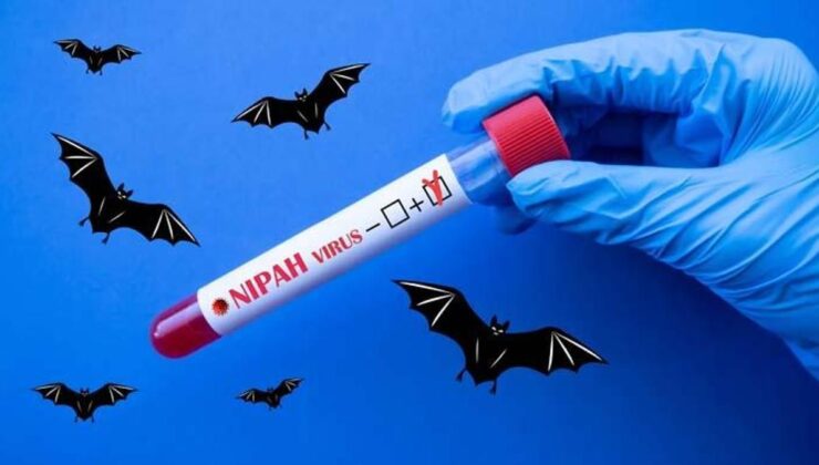 Nipah virüsü Türkiye’ye gelir mi?