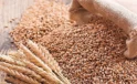 Rusya, Türkiye’nin en büyük buğday tedarikçisi oldu