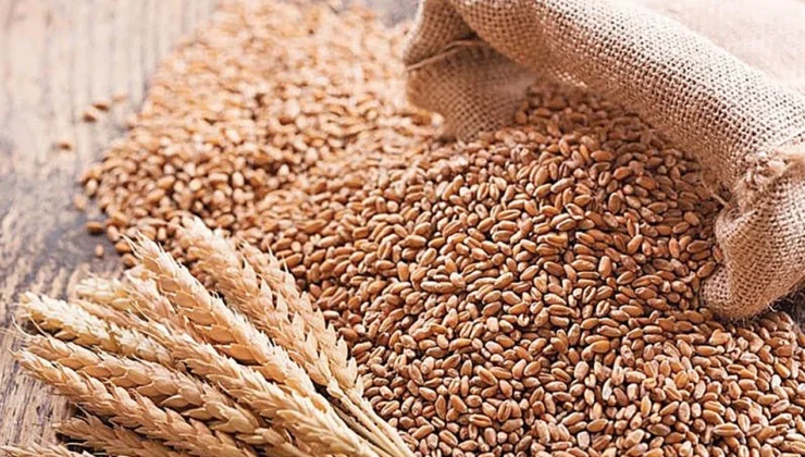Rusya, Türkiye’nin en büyük buğday tedarikçisi oldu