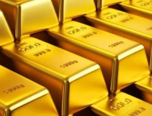 Ocak ayında en çok kazandıran yatırım aracı belli oldu