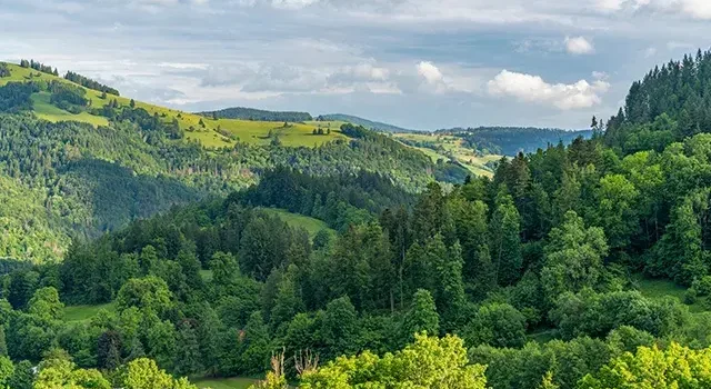 Bursa dahil 21 ilde bazı alanlar orman sınırları dışına çıkarıldı