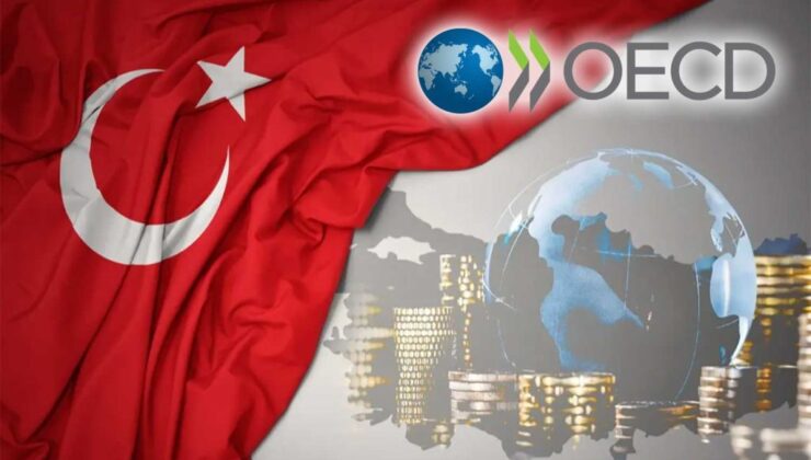 OECD’den yeni rapor: Türkiye için enflasyon tahmininde keskin yükseliş