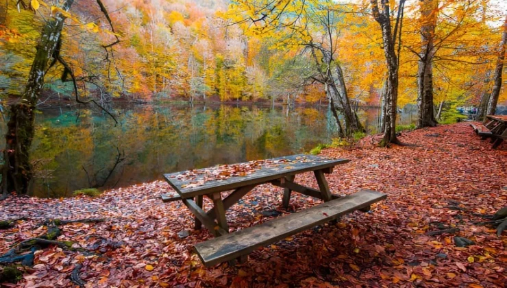 Teklif yasalaştı. Milli parklarda yeni dönem