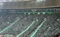 Bursaspor için tek yürek! Taraftar stadyuma akın etti