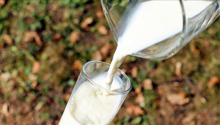 Türkiye’nin süt ve süt ürünleri sektörü, AB pazarında daha fazla yer alacak