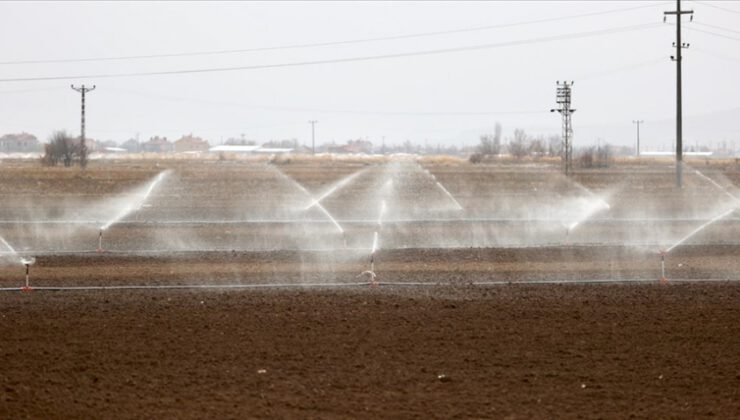 Türkiye’nin ‘tahıl ambarında’ kuraklık nedeniyle çiftçiler sulamaya kış ortasında başladı