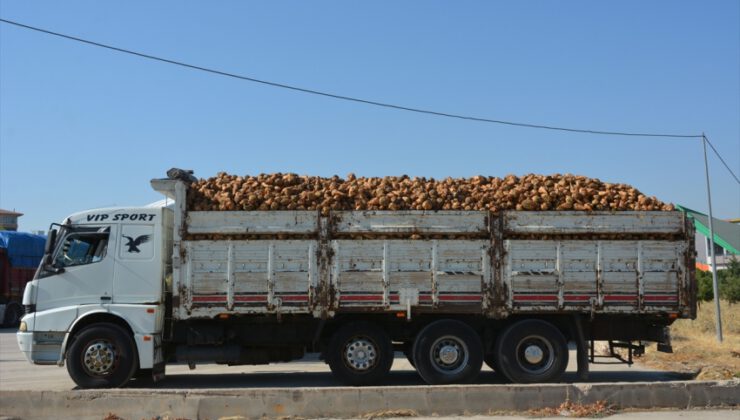 Türkşeker’de hedef 950 bin ton şeker üretimi