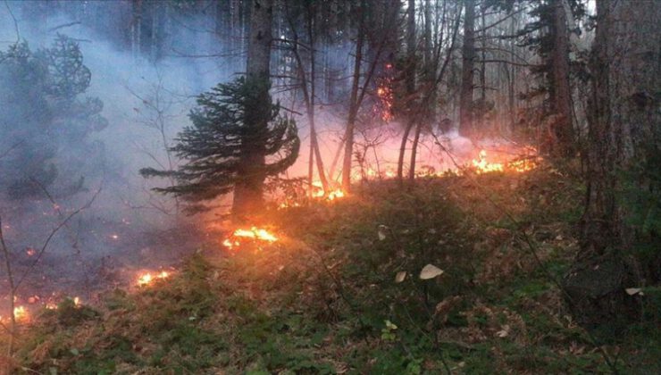 Uludağ’da orman yangını kontrol altına alındı