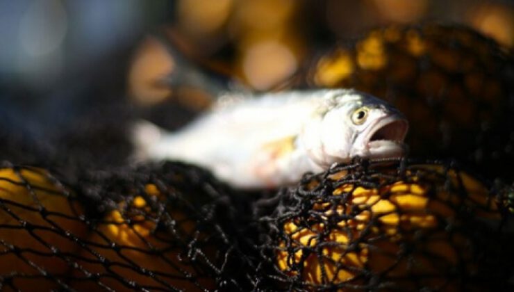 Yeni kanunla kural dışı balıkçılığa set