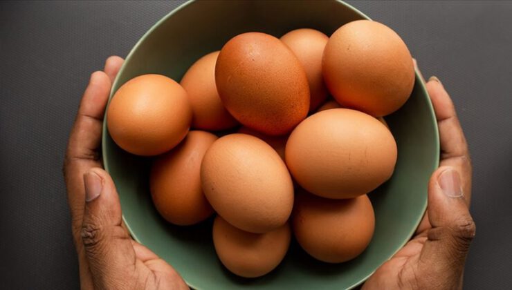 Yumurta fiyatlarının artmasının sebebi…