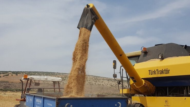 Buğday ve bakliyat fiyatları açıklandı