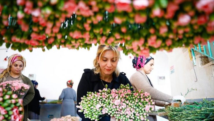 Çiçek sektörü ihracatta rekor kırdı