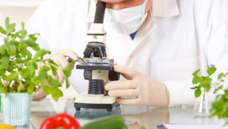 Gıda işletmelerinde “biyomühendis” istihdam edilebilecek