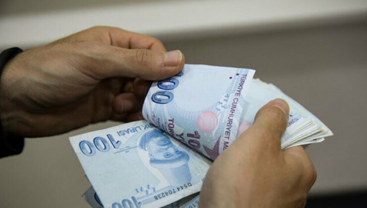 Hanelere 1000’er lira desteğin başvuru detayları belli oldu