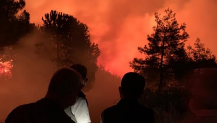 Hatay’daki orman yangınına müdahale yeniden başladı