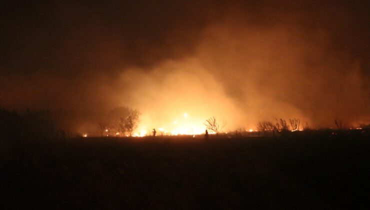 İzmir’de yangın: 4 bin kişi tahliye edildi