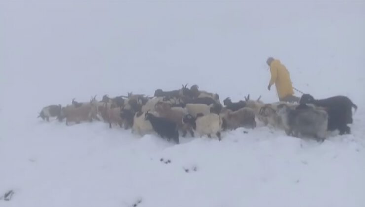 Kar, çobanlara zor anlar yaşattı