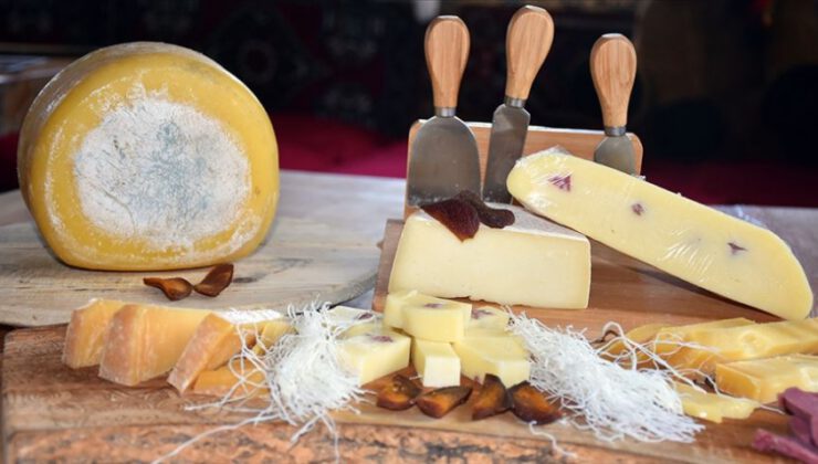 Kaşar peynirinde bol kazanç için ‘geleneksel yöntemleri koruyun’ önerisi