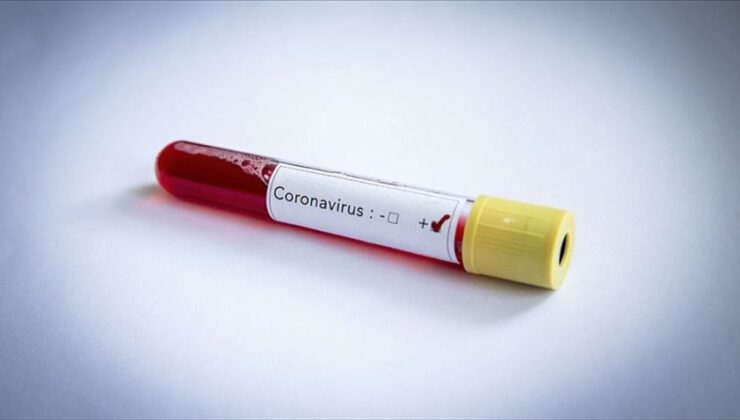 Koronaviris taşıyanların sayısı…