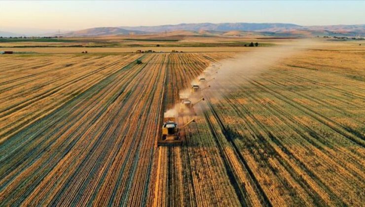 Tarım vasfını kaybetmeye yüz tutmuş araziler üretime kazandırılıyor