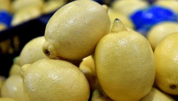 Mersin’de limonun fiyatı üreticiyi sevindirdi