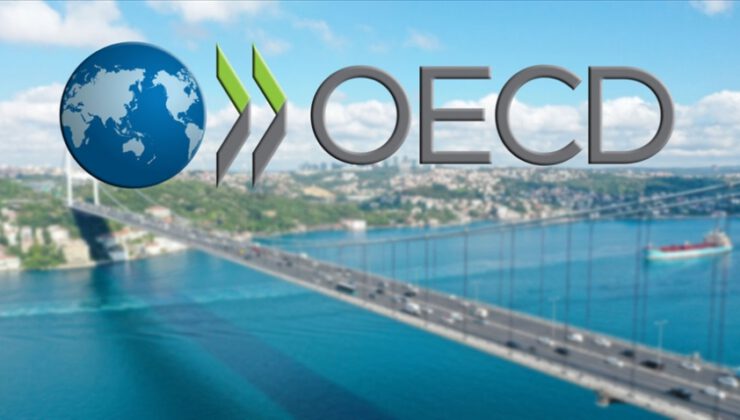 OECD İstanbul Merkezi açılıyor