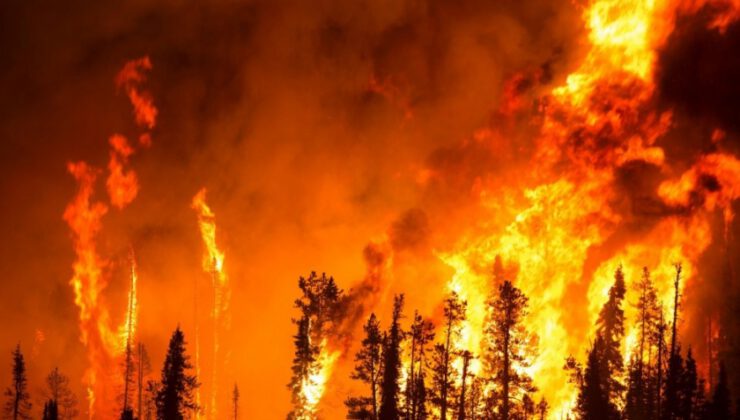 Orman yangınlarının yüzde 84’ünün sebebi…