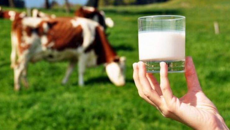 Toplanan inek sütü miktarı nisanda arttı
