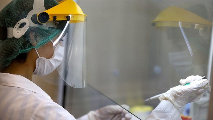 Türkiye’de koronavirüsten can kaybı 9 bin 371 oldu